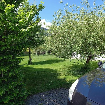 Flores, Ferienhaus Oder Doppelzimmer, Im Gruenen, 5 Gehminuten Ins Zentrum, Parkplatz, Zero Emissions باد اسشي المظهر الخارجي الصورة