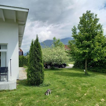 Flores, Ferienhaus Oder Doppelzimmer, Im Gruenen, 5 Gehminuten Ins Zentrum, Parkplatz, Zero Emissions باد اسشي المظهر الخارجي الصورة