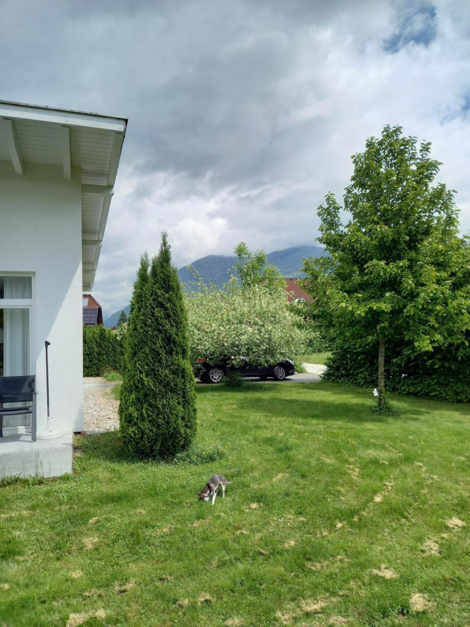 Flores, Ferienhaus Oder Doppelzimmer, Im Gruenen, 5 Gehminuten Ins Zentrum, Parkplatz, Zero Emissions باد اسشي المظهر الخارجي الصورة