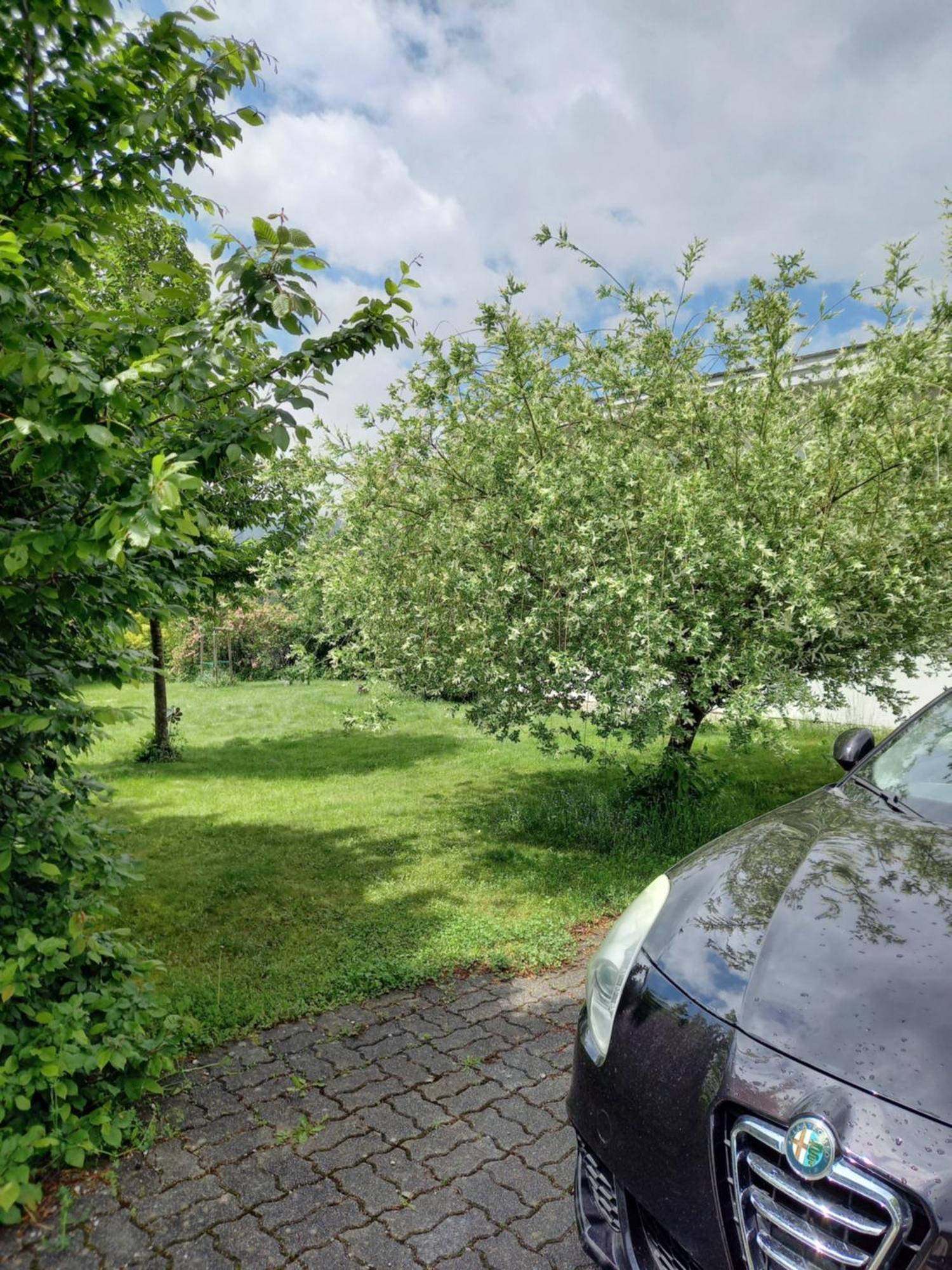 Flores, Ferienhaus Oder Doppelzimmer, Im Gruenen, 5 Gehminuten Ins Zentrum, Parkplatz, Zero Emissions باد اسشي المظهر الخارجي الصورة